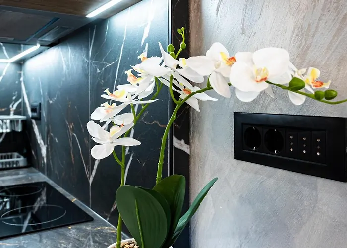 N Place Free Parking Apartmán *