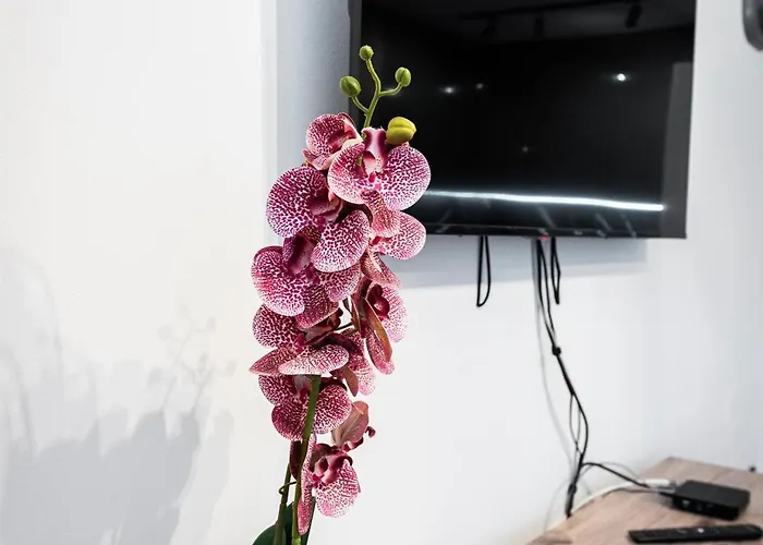 Apartmán N Place Free Parking